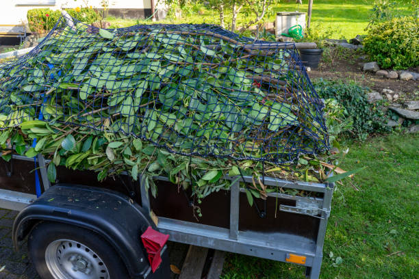 Best Recycling Services for Junk  in Pender, NE